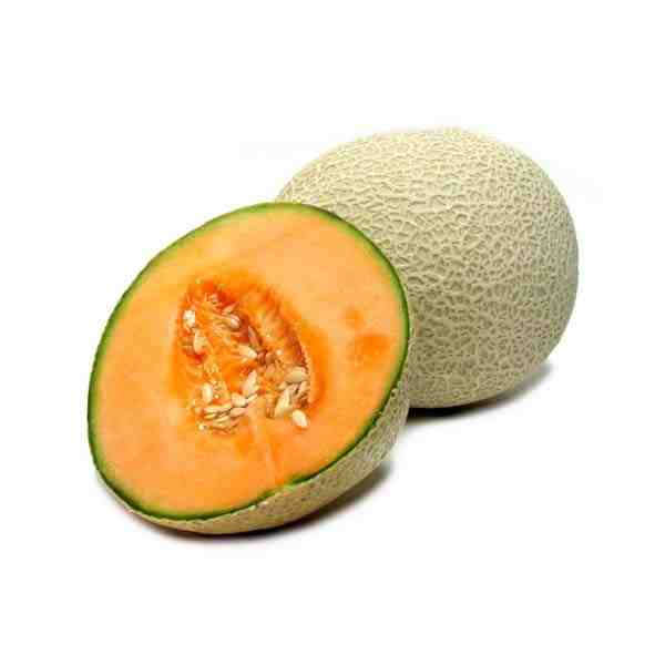 MELON CANTALOUPE