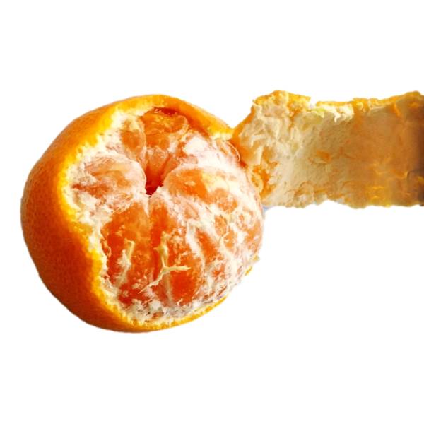 TANGERINE/MANDARIN