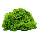 MUIR / CURLY GREEN LEAF LETTUCE (LOCAL CUNUCU FRESH)