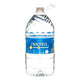 NIAGARA DRINKING WATER PURIFIED 128FZ