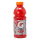 GATORADE FRUIT PUNCH 20oz