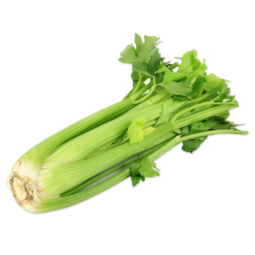 CELERY SLEEVED