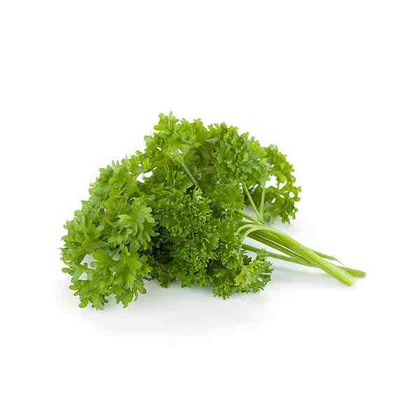 PARSLEY