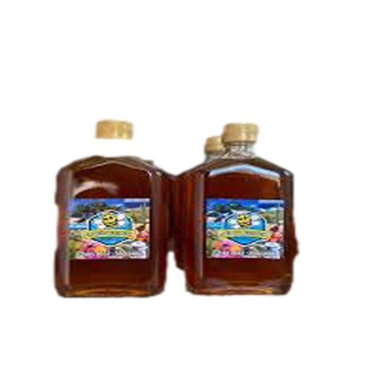 ARUBA'S BEE HAVEN ORGANIC HONEY  500GR