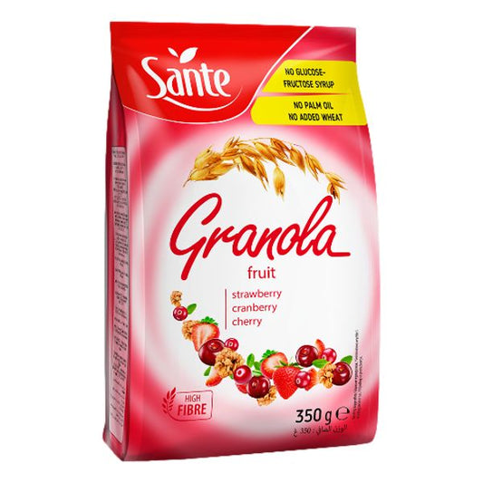 SANTE GRANOLA FRUIT 350GR