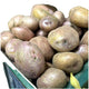 POTATO CAPIRA SPECIAL