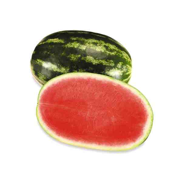WATERMELON SEEDLESS