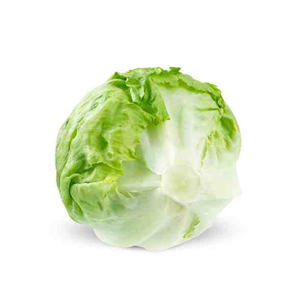 LETTUCE ICEBERG WRAPPED