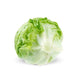 LETTUCE ICEBERG WRAPPED