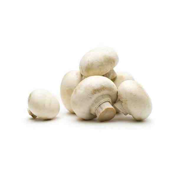 MUSHROOM WHITE CELLO 8oz