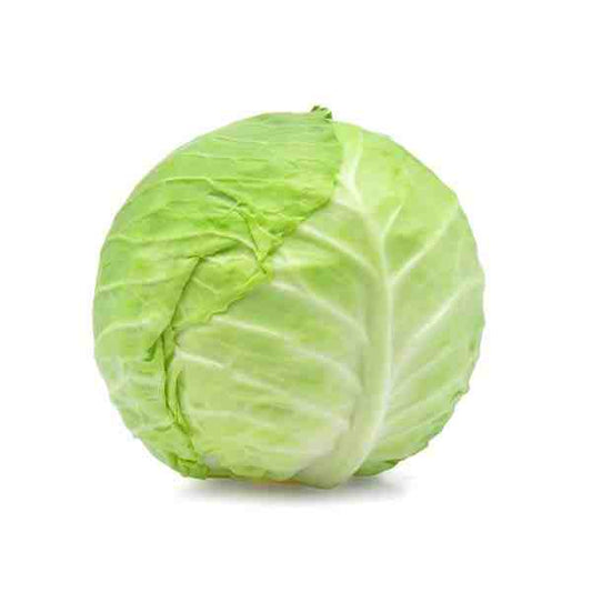 CABBAGE GREEN USA