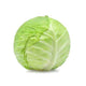 CABBAGE GREEN USA