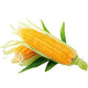 CORN YELLOW
