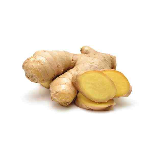 GINGER ROOT