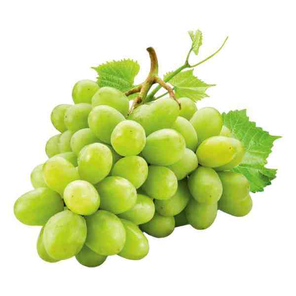 GRAPES WHITE/GREEN SEEDLESS
