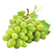GRAPES WHITE/GREEN SEEDLESS