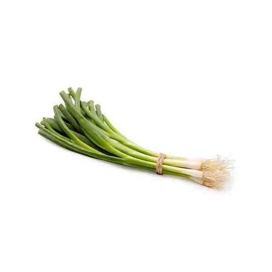 SCALLION (GREEN ONION)