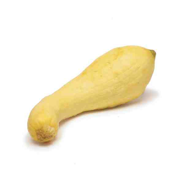 SQUASH YELLOW ZUCCHINI FANCY