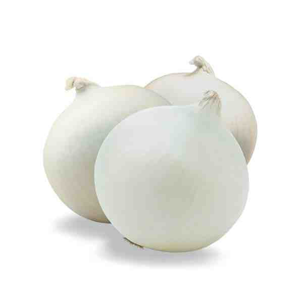ONIONS WHITE JUMBO